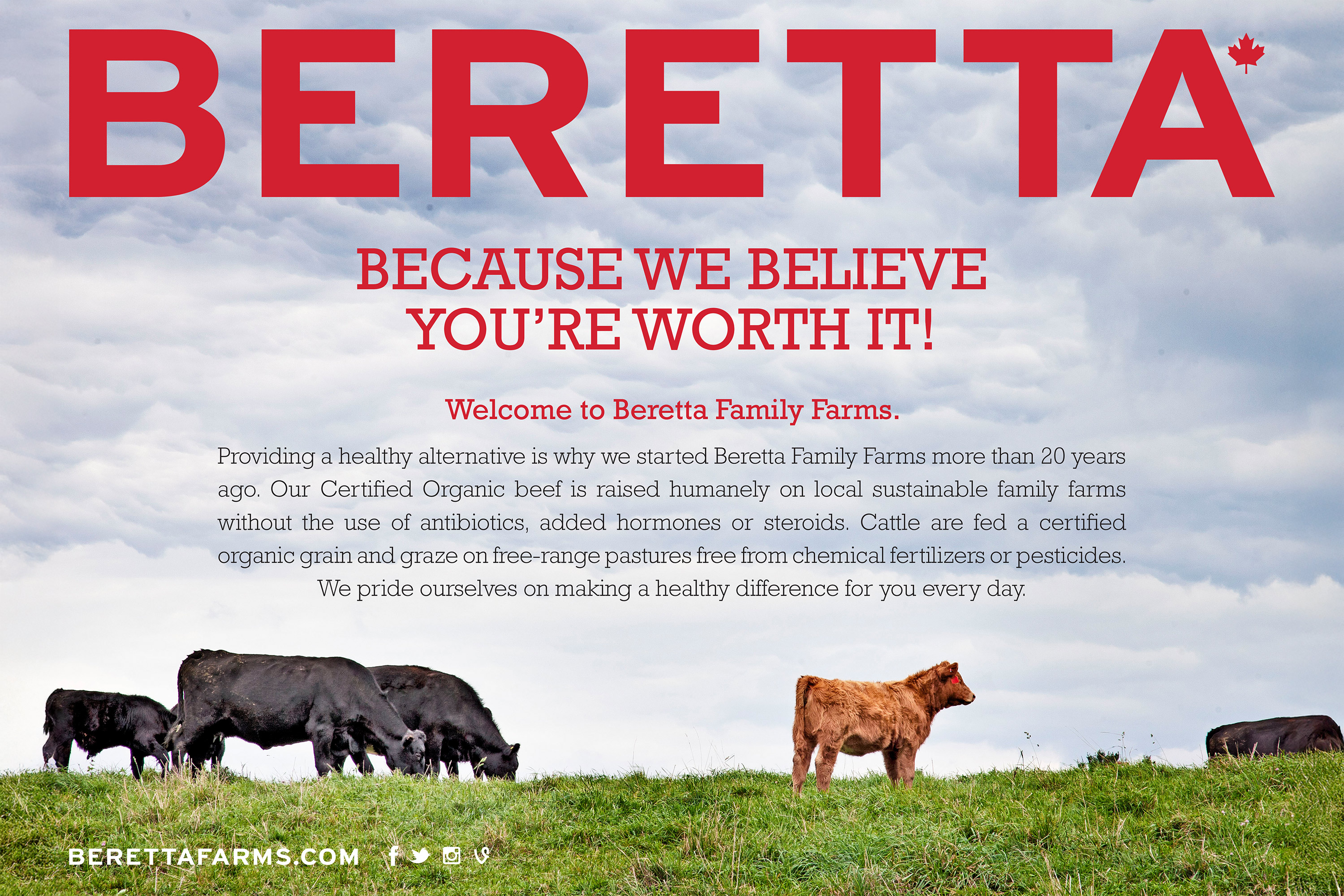 Beretta Farms / In-Store Hanger